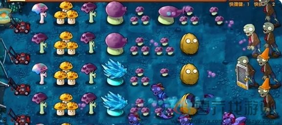 《植物大战僵尸融合版》冒险模式第11关通关攻略(图5) 《植物大战僵尸融合版》冒险模式第11关通关攻略(图5)