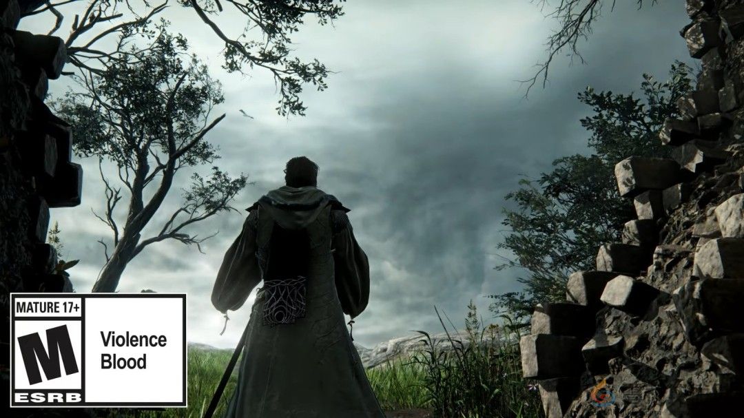 《艾尔登法环：黑夜君临》DLC新职业“学者”预告(图3)